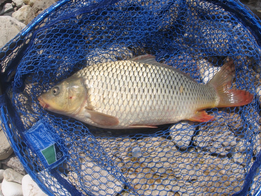 Рыбалка на реке Кама