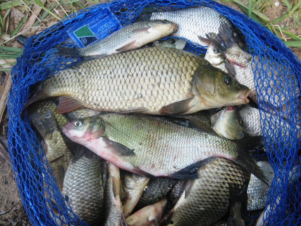 Рыбалка в Боровом Матюшино.